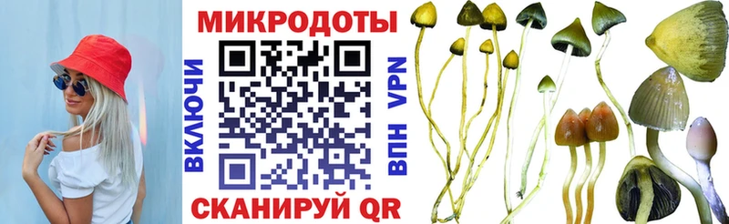 Псилоцибиновые грибы MAGIC MUSHROOMS Купить где Сортавала